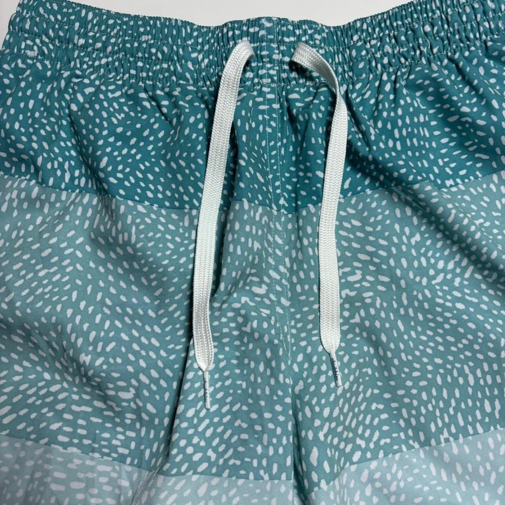 chubbies these swim